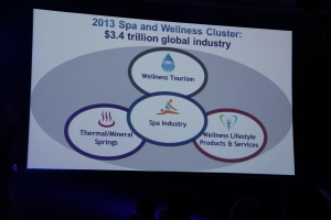 Global Spa Wellness Summit